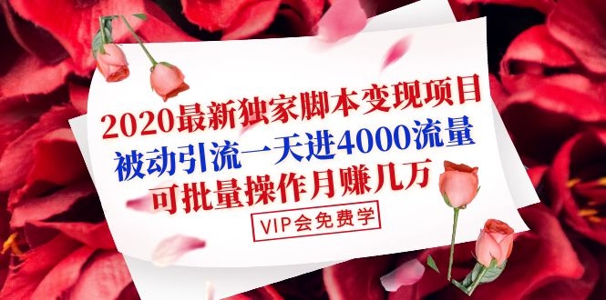 (1095期)2020最新独家脚本变现项目:被动引流一天进4000流量,可批量操作月赚几万