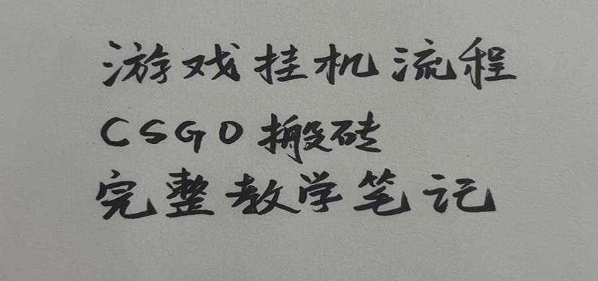 游戏挂机全流程笔记分享,CSGO游戏搬砖,小白看了当天学会见收益-韬哥副业项目资源网