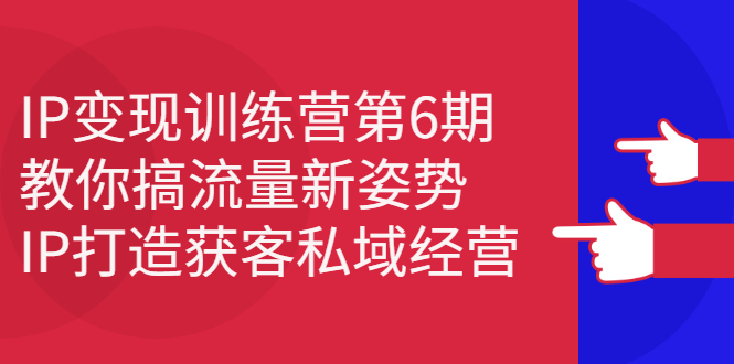 （2351期）IP变现训练营第6期：教你搞流量新姿势，IP打造获客私域经营-韬哥副业项目资源网