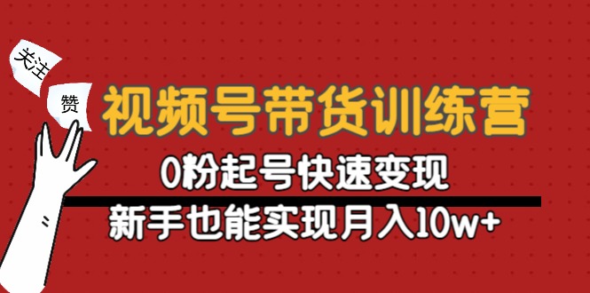 （4446期）视频号带货训练营：0粉起号快速变现，新手也能实现月入10w+-韬哥副业项目资源网