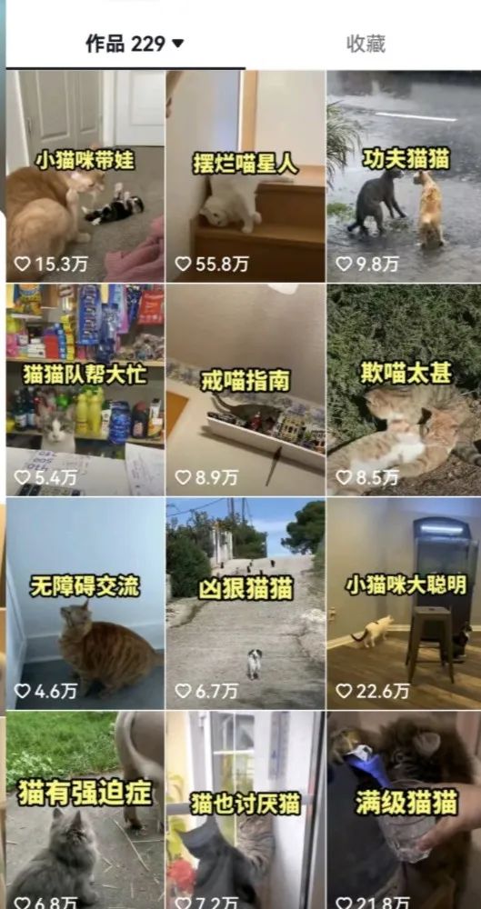 (6568期)拆解:抖音盘点类中视频变现副业项目,视频版一条龙大解析分享给你