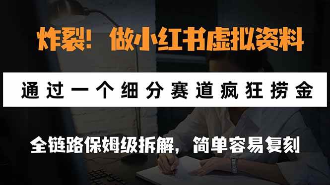 (21206期)炸裂!做小红书虚拟资料,通过一个细分赛道疯狂捞金,全链路保姆级拆解,简单容易复刻-韬哥副业项目资源网