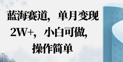 蓝海赛道，小红书私域项目，单月变现2W+，小白可做，操作简单-韬哥副业项目资源网