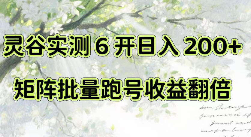 一台电脑就能做！灵谷实测6开日入200+，矩阵批量跑号收益翻倍【揭秘】-韬哥副业项目资源网
