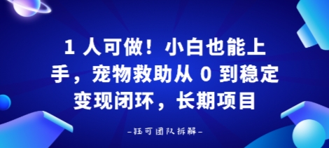 1人可做！小白也能上手，宠物救助从 0 到稳定变现闭环，长期项目-韬哥副业项目资源网