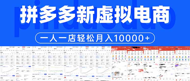 拼多多虚拟电商一人一店轻松月入10000+-韬哥副业项目资源网