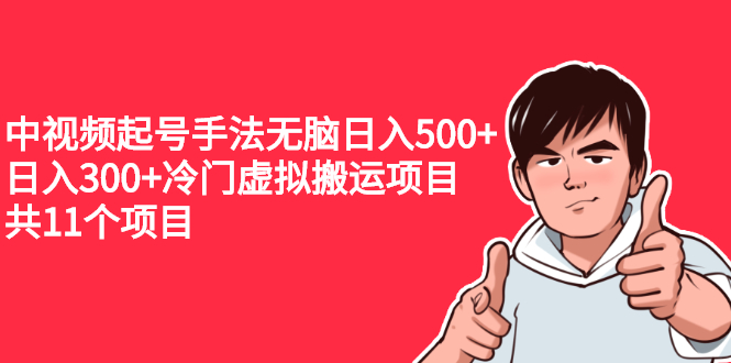 （2224期）中视频起号手法无脑日入500+日入300+冷门虚拟搬运项目（共11个项目）-韬哥副业项目资源网