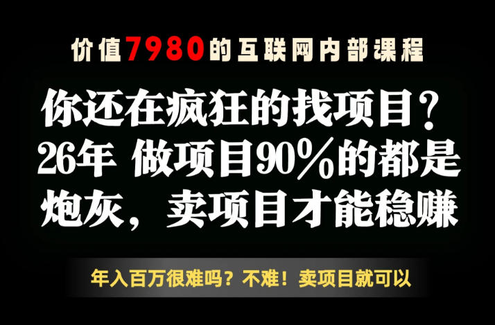 26年请不要疯狂的找项目了，卖项目远比你想象的暴利，你也可以月入10W+【揭秘】-韬哥副业项目资源网