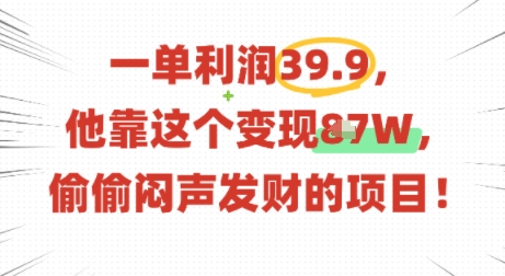 一单利润39.9，有人靠这个变现几十个，偷偷闷声发财的项目-韬哥副业项目资源网