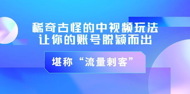 （3159期）稀奇古怪的中视频玩法，让你的账号脱颖而出，堪称“流量刺客”（图文+视频)-韬哥副业项目资源网