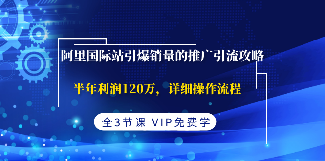 （1374期）阿里国际站引爆销量的推广引流攻略，半年利润120万，详细操作流程(全3节课)-韬哥副业项目资源网