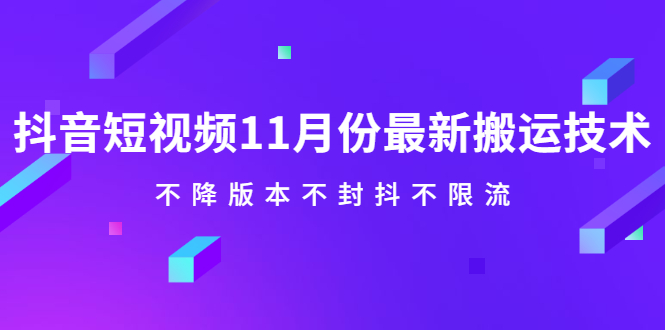 （2141期）抖音短视频11月份最新搬运技术，不降版本不封抖不限流！【视频课程】-韬哥副业项目资源网