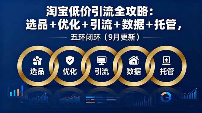 （16009期）淘宝低价引流全攻略：选品＋优化＋引流＋数据＋托管，五环闭环（9月更新）-韬哥副业项目资源网