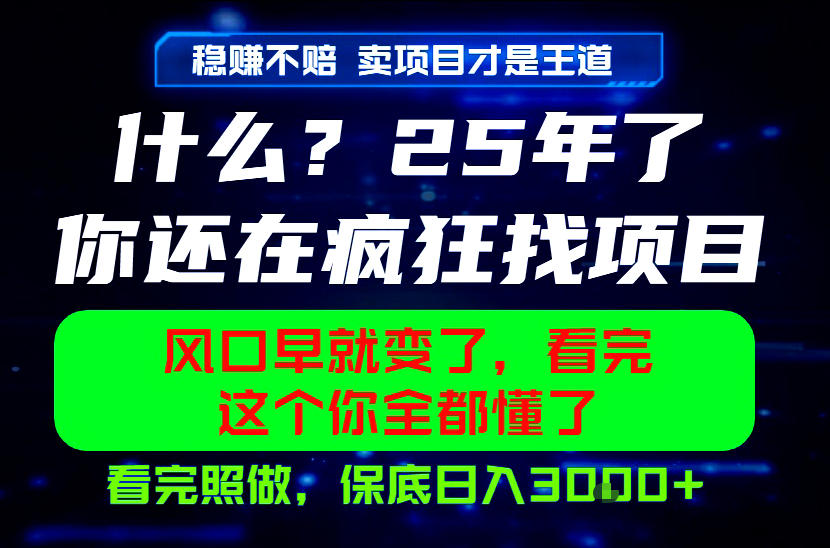 26年,请不要疯狂的找项目做了!卖项目才是真的稳賺不赔,看完照做,保底日入1k+【揭秘】-韬哥副业项目资源网