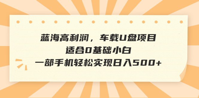 图片[1]-（6600期）蓝海高利润，车载U盘项目，适合0基础小白，一部手机轻松实现日入500+-韬哥副业项目资源网