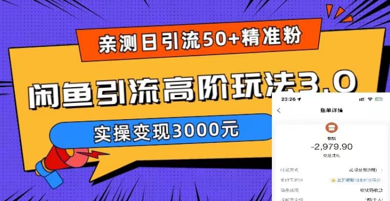 （5739期）实测日引50+精准粉，闲鱼引流高阶玩法3.0，实操变现3000元-韬哥副业项目资源网