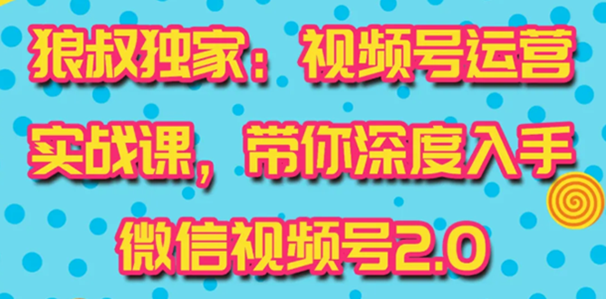 （1521期）视频号运营实战课2.0，目前市面上最新最全玩法，快速吸粉吸金（10节视频）