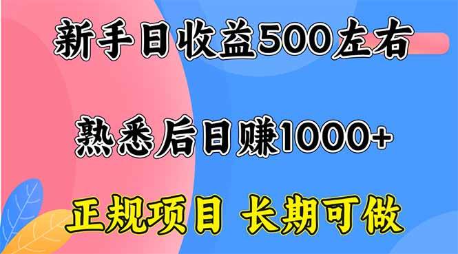 （16132期）新手日收益500+ 正规项目 长期可做-韬哥副业项目资源网