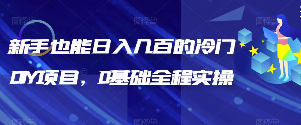 （6630期）新手也能日入几百的冷门DIY项目，0基础全程实操【揭秘】-韬哥副业项目资源网