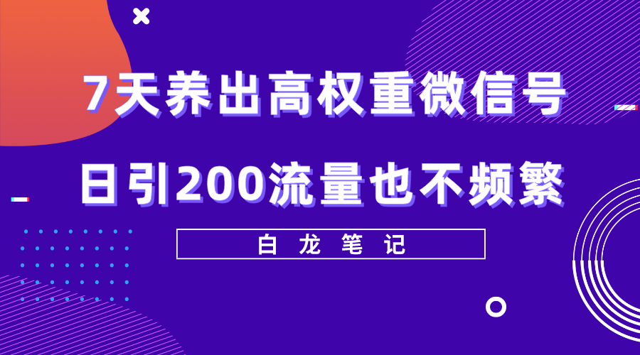 （5630期）7天养出高权重微信号，日引200流量也不频繁，方法价值3680元-韬哥副业项目资源网