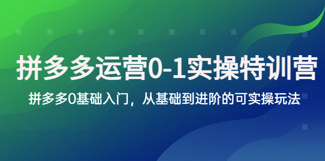 （5747期）拼多多-运营0-1实操训练营，拼多多0基础入门，从基础到进阶的可实操玩法-韬哥副业项目资源网