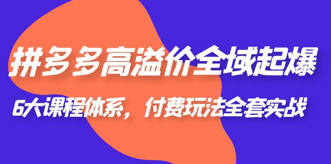 （6297期）拼多多-高溢价 全域 起爆，6大课程体系，付费玩法全套实战！-韬哥副业项目资源网
