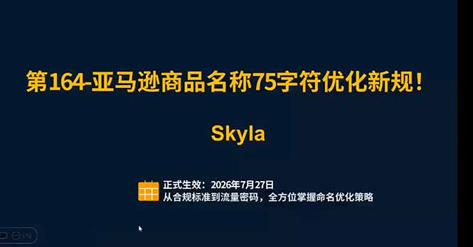 亚马逊跨境实战课:全品类选品逻辑|SP/SB/SD广告精细化|新品打爆旺季爆单全套运营教程-韬哥副业项目资源网
