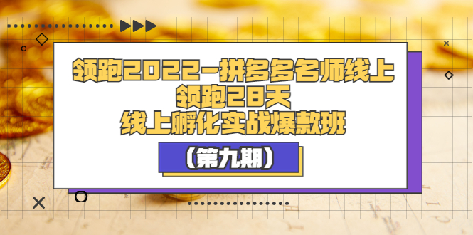 （3370期）领跑2022-拼多多名师线上领跑28天，线上孵化实战爆款班（第九期）-韬哥副业项目资源网