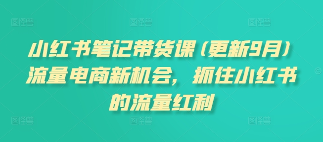 小红书笔记带货课(更新25年9月)流量电商新机会，抓住小红书的流量红利-韬哥副业项目资源网