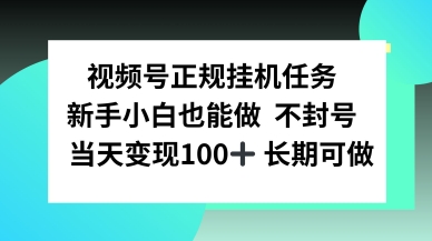 视频号正规挂播任务，有手就行不违规，轻松日入1张-韬哥副业项目资源网