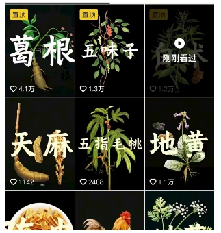 抖音中草药赛道，用AI做中草药故事视频，45条作品涨粉13W，橱窗带货猛猛出单-韬哥副业项目资源网