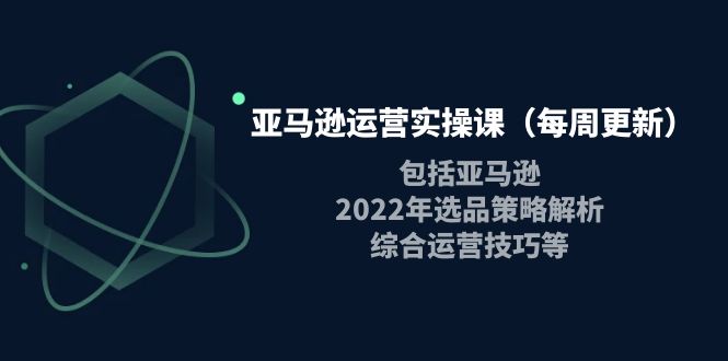 （3955期）亚马逊运营实操课（每周更新）包括亚马逊2022选品策略解析，综合运营技巧等-韬哥副业项目资源网