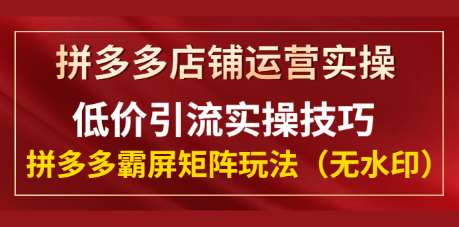 （1342期）拼多多店铺运营实操，低价引流实操技巧，拼多多霸屏矩阵玩法（无水印）-韬哥副业项目资源网