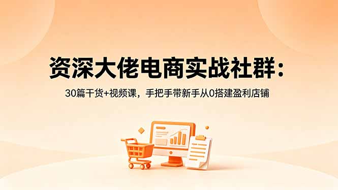 资深大佬电商实战社群：30篇干货+视频课，手把手带新手从0搭建盈利店铺-韬哥副业项目资源网