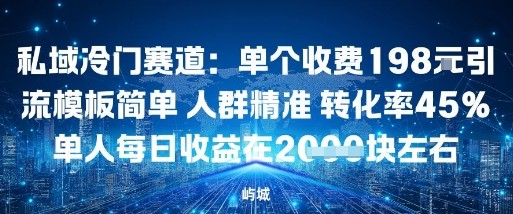 私域冷门赛道：单个收费198米引流模板简单人群精准转化率45%单人每日收益在1k+-韬哥副业项目资源网