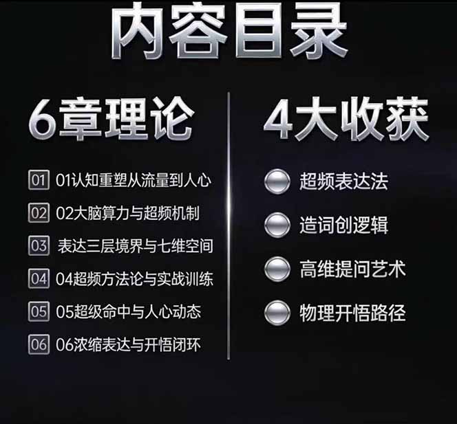 马大个高维表达全套实战课，跳出普通口才教学，大脑超频训练打造原创思想IP体系-韬哥副业项目资源网