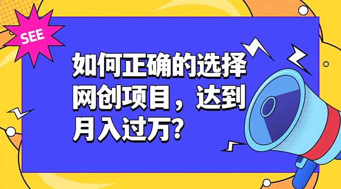 如何正确的选择网创项目，达到月入过万？，本课程教你正确选择项目。-韬哥副业项目资源网