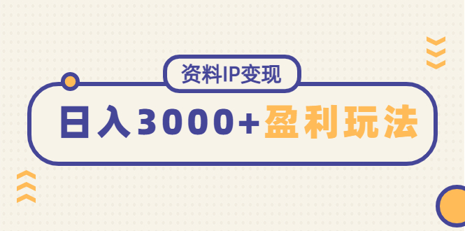 （4576期）资料IP变现，能稳定日赚3000起的持续性盈利玩法-韬哥副业项目资源网
