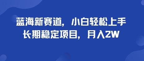 蓝海新赛道，小白轻松上手，长期稳定项目，月入2W-韬哥副业项目资源网
