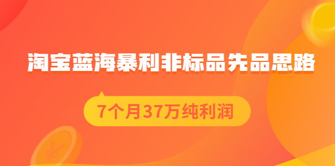 （2054期）淘宝蓝海暴利非标品先品思路，7个月37万纯利润，压箱干货分享！-韬哥副业项目资源网