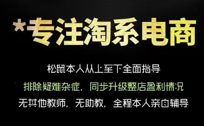 松鼠会电商VIP课程，从基础布局到高阶优化，助你掌握淘宝运营逻辑，提升店铺流量与转化(更新0809)-韬哥副业项目资源网