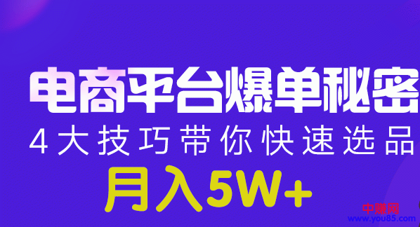 （950期）电商平台爆单 月入5W+的秘密：4大技巧带你快速选品(8节视频课)