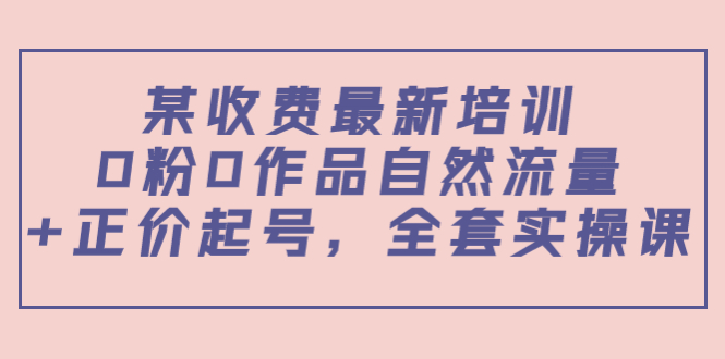 （3648期）某收费最新培训：0粉0作品自然流量+正价起号，全套实操课！-韬哥副业项目资源网