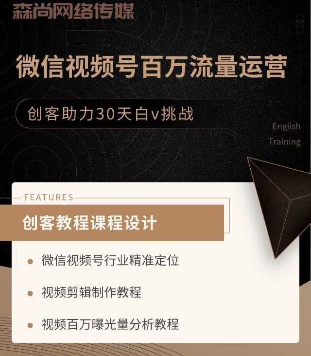 （1520期）微信视频号百万流量运营：行业定位+视频剪辑制作+视频百万曝光量分析-韬哥副业项目资源网