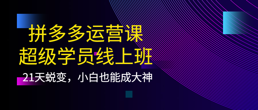 图片[1]-（3929期）拼多多运营课：超级学员线上班，21天蜕变，小白也能成大神-韬哥副业项目资源网