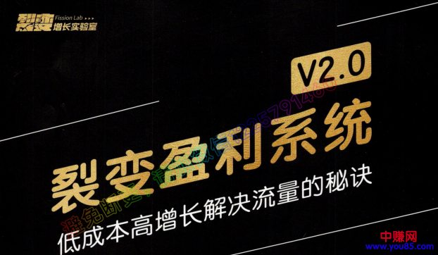 （955期）低成本高增长解决流量的秘诀《裂变盈利系统V2.0》视频+文档-韬哥副业项目资源网