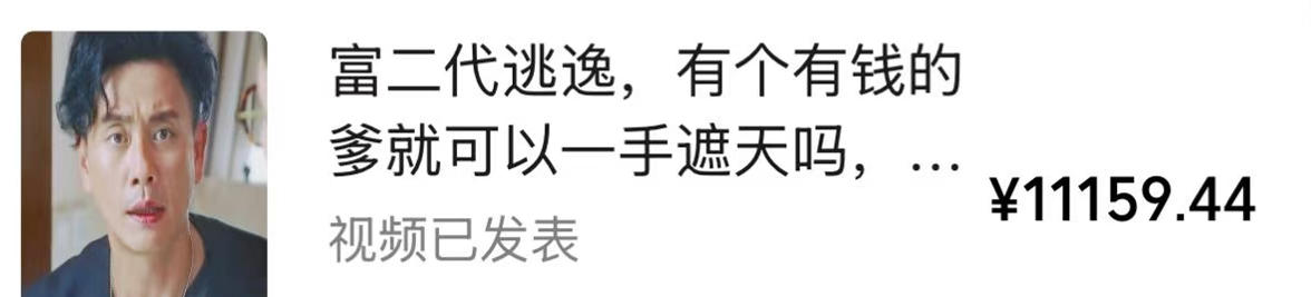 视频号某大佬的影视搬运教学，纯手法操作，可以多个平台可以发布，撸分成计划+伙伴计划+光合计划收益等-韬哥副业项目资源网