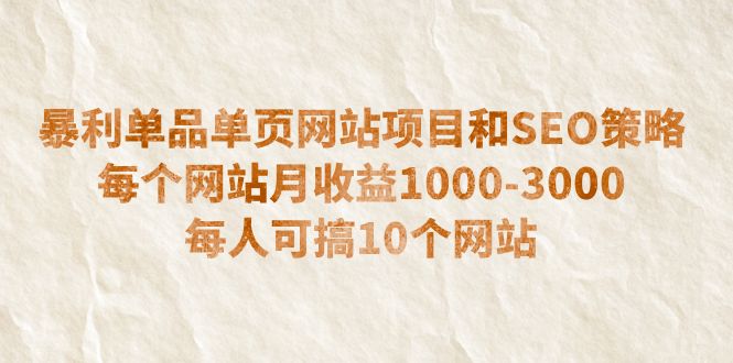 （6503期）暴利单品单页网站项目和SEO策略  每个网站月收益1000-3000  每人可搞10个-韬哥副业项目资源网