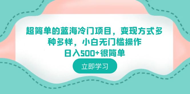 （6422期）超简单的蓝海冷门项目，变现方式多种多样，小白无门槛操作日入500+很简单-韬哥副业项目资源网