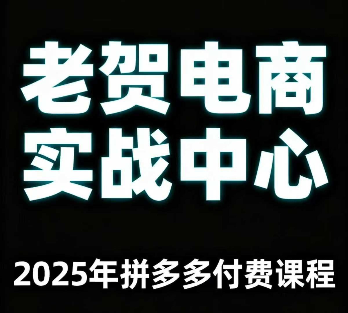 老贺电商2025年拼多多付费课程，用通俗易懂的方法告诉你多多怎么玩-韬哥副业项目资源网